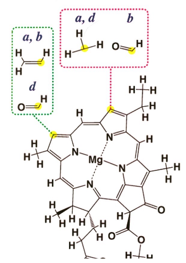 Chlorofyl_structuur.jpg